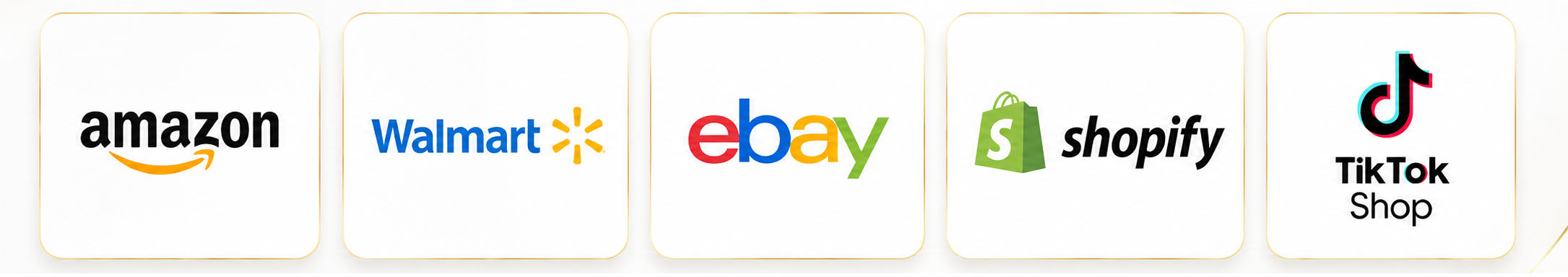 Amazon, Walmart, eBay, Shopify, and TikTok Shop marketplace presence