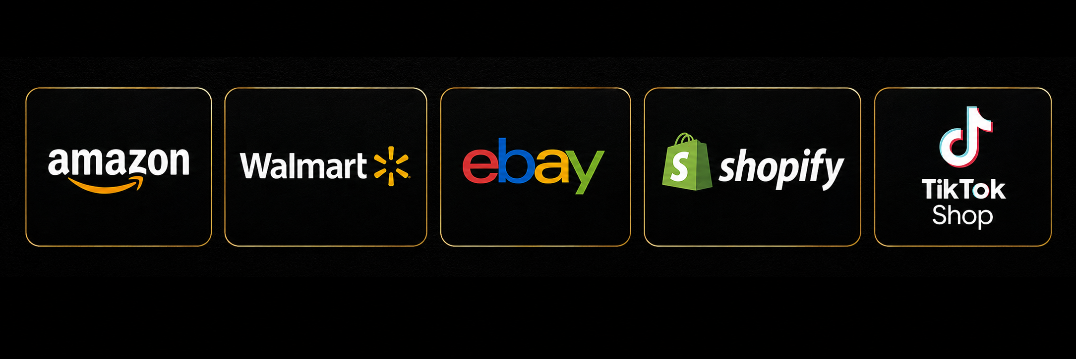Amazon, Walmart, eBay, Shopify, and TikTok Shop marketplace logos